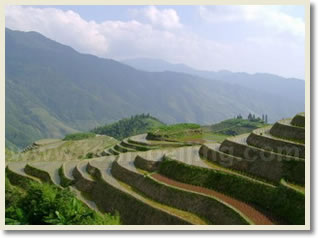 Guilin Longsheng Day Tour