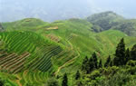 Guilin Longsheng Yangshuo 4-Day Tour Package
