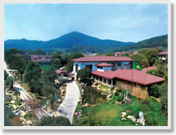 Hangzhou Museum Day Tour