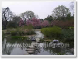 Hangzhou Botanical Day Tour