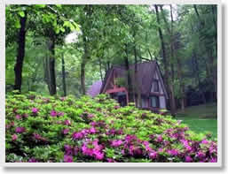 Hangzhou Botanical Day Tour