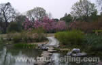 Hangzhou Botanical Day Tour