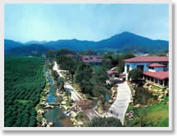 Hangzhou Tea Cultural Day Tour
