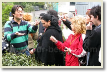 Hangzhou 3 day Tour Package
