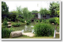 Hangzhou Botanical Day Tour