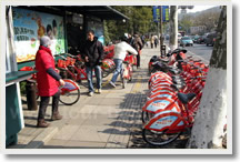 Hangzhou Bike Half Day Tour