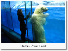 Harbin Polar Land 