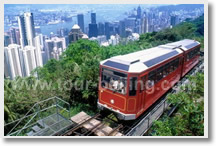 Hong Kong Layover Tour