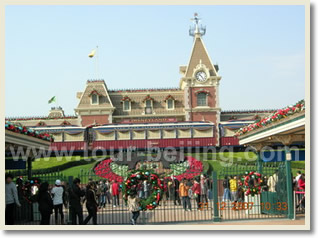 Half Day Disneyland Layover Tour