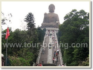 Half Day Lantau Island Layover Tour