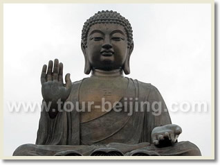 Half Day Lantau Island Layover Tour