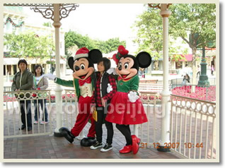 Half Day Disneyland Layover Tour