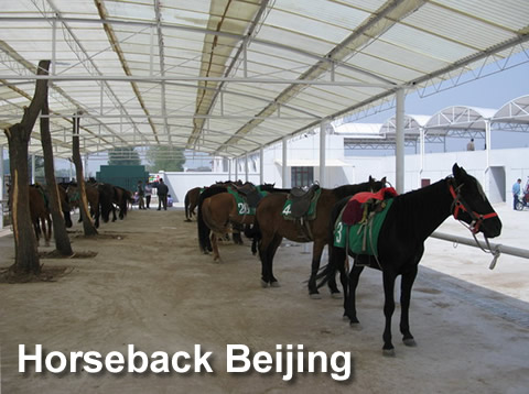 Horseback Beijing