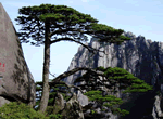 3-Day Huangshan Classic Tour Package