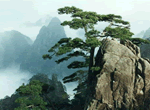 Hangzhou Huangshan Tour, Hangzhou Mount Huangshan Three Days Round Trip by Coach