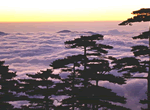 Beijing Huangshan Mountains Shanghai 9 Days Tour