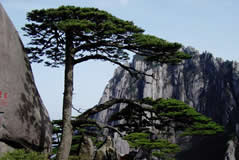 Huangshan 3-Day Classic Tour Package