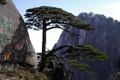 Beijing Huangshan 3-Day Tour Package