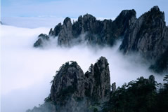 Shangahi Huangshan 3-Day Tour Package