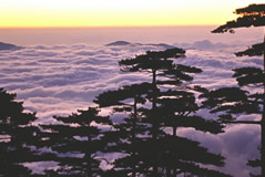 Beijing Huangshan Shanghai Classic 9 Days Tour