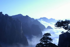 Beijing Huangshan Hangzhou Shanghai Classic 11 Days Tour