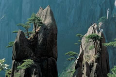 Beijing Xian Hangzhou Huangshan Shanghai 13 Days Tour