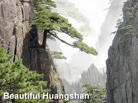 Huangshan Tour