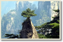 4 Day Huangshan & Hongcun Village Tour
