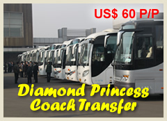 Diamand Princess Coach Transfer