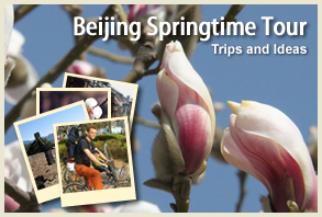 Beijing Springtime Tour