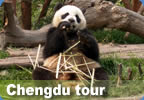 Chengdu tour
