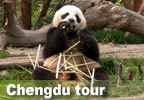 Chengdu Tour