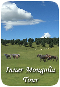 Inner Mongolia Tour Inner Mongolia Tour
