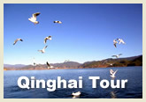 Qinghai Tour
