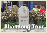 Shandong Tour