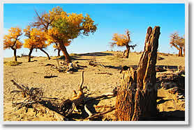 West Inner Mongolia Tours