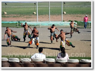 Performances of Mongolian style wrestling