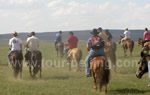 Beijing Inner Mongolia 1 night Tour