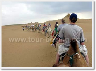 one hour's camel ride