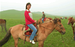 Beijing Mulan Weichang Grassland 3 Days Tour