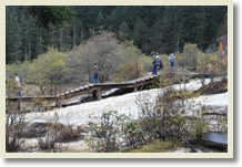 Beijing Chengdu Jiuzhaigou Shanghai 10-Day Tour