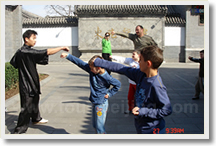 Experimental Kung Fu Class ( Changqun - Long Shadow Boxing )