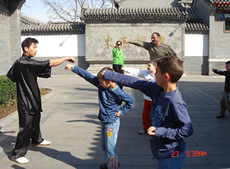 Learn Kung Fu ( Changqun - Long Shadow Boxing )