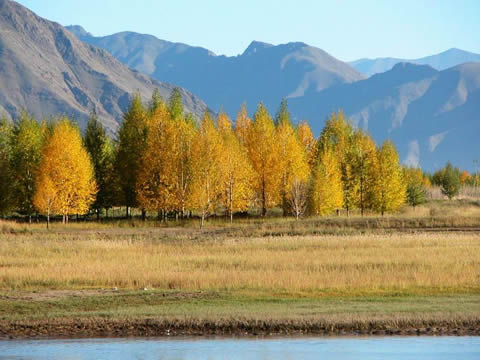 Lhasa Yambajan Lake Namtso Virtual Tour 11