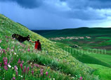 Kunming Dali Lijiang Shangri-la 9-Day Tour