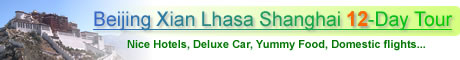 Beijing Xian Lhasa Shanghai 12-Day Tour
