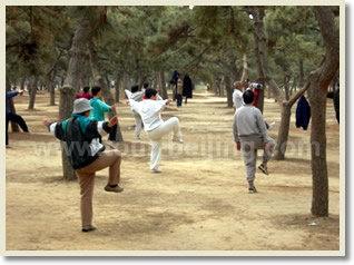 Beijing Taijiquan Learning Morning Tour