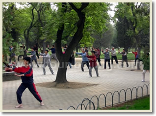 Beijing Taijiquan Learning Morning Tour