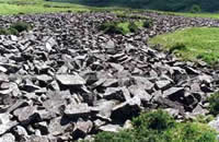 China Display Hall of Quaternary Glacier Relics