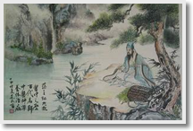 Xi'an Traditional Medicine